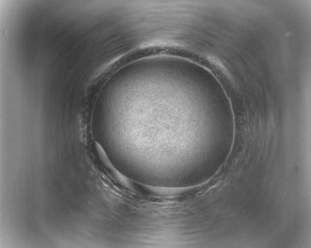 X0000068850872200605051210