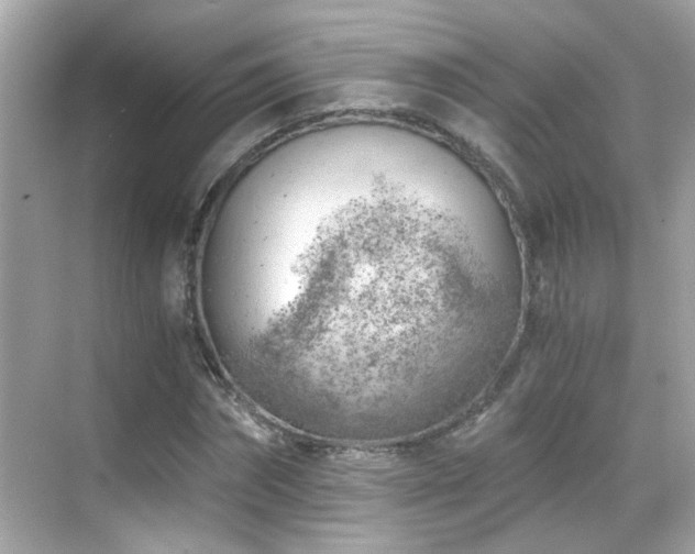 X0000068850874200605051210