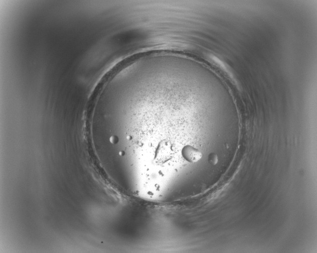 X0000068850875200605051210