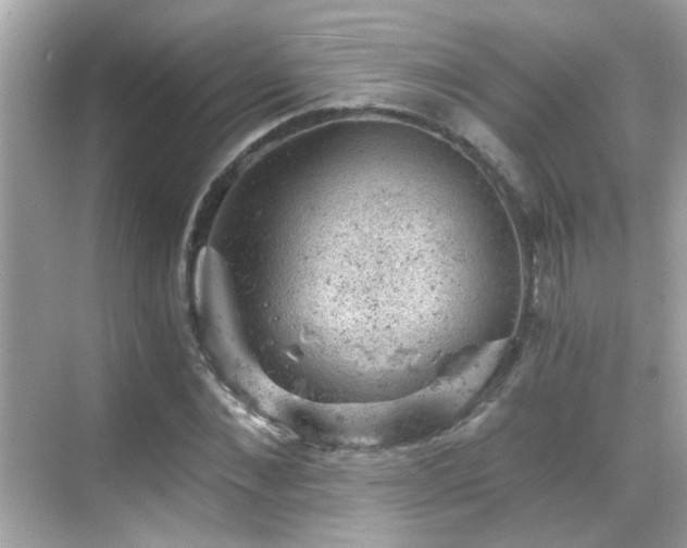 X0000068850876200605051210