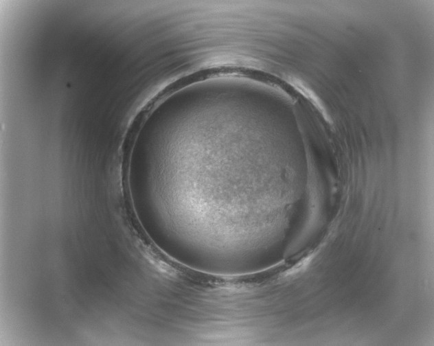 X0000068850877200605051210