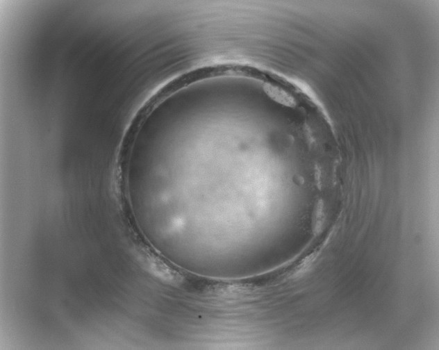 X0000068850879200605051210