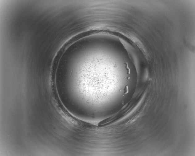 X0000068850880200605051210