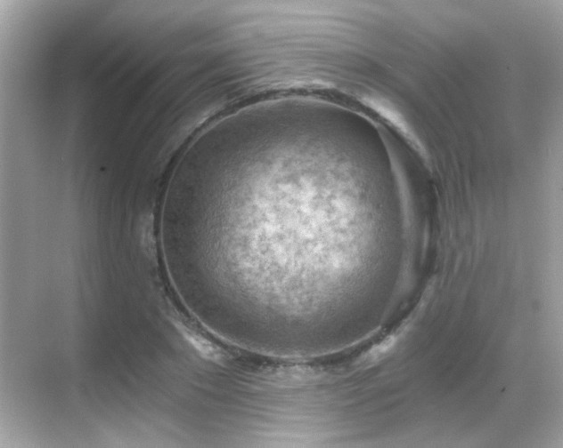 X0000068850881200605051210