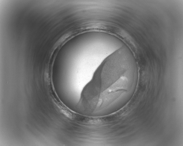 X0000068850882200605051210