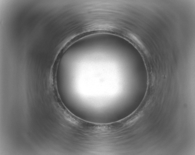 X0000068850883200605051210