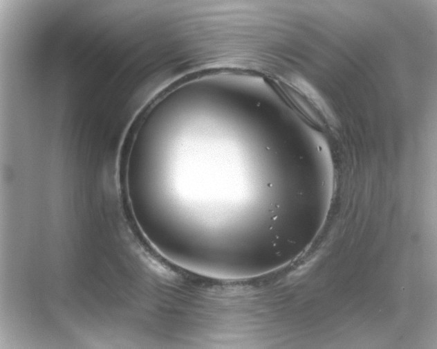 X0000068850884200605051210