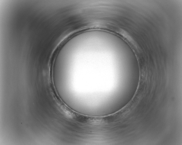 X0000068850886200605051210