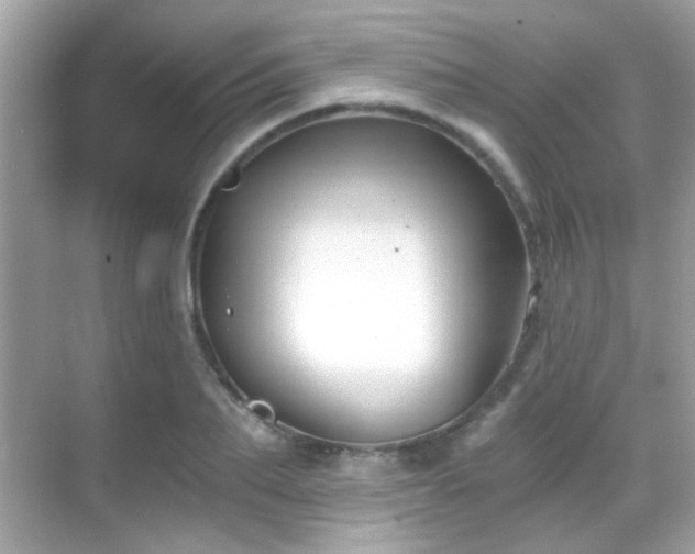 X0000068850887200605051210