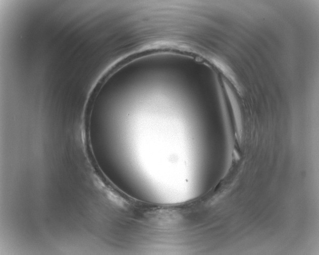 X0000068850888200605051210