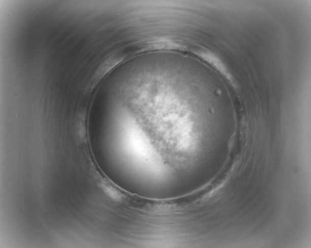 X0000068850889200605051210