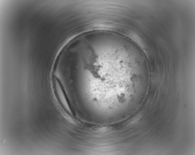 X0000068850891200605051210