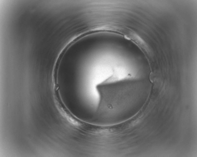 X0000068850892200605051210