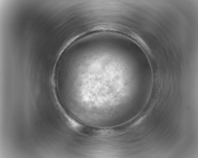 X0000068850893200605051210