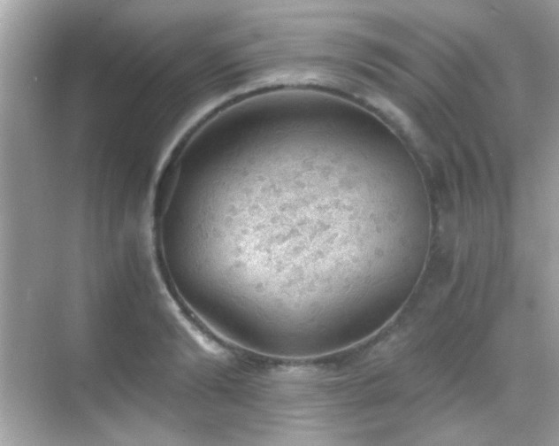 X0000068850894200605051210