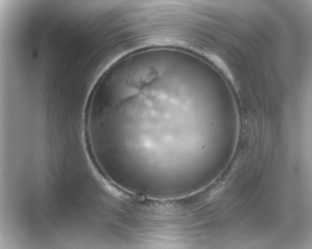 X0000068850895200605051209