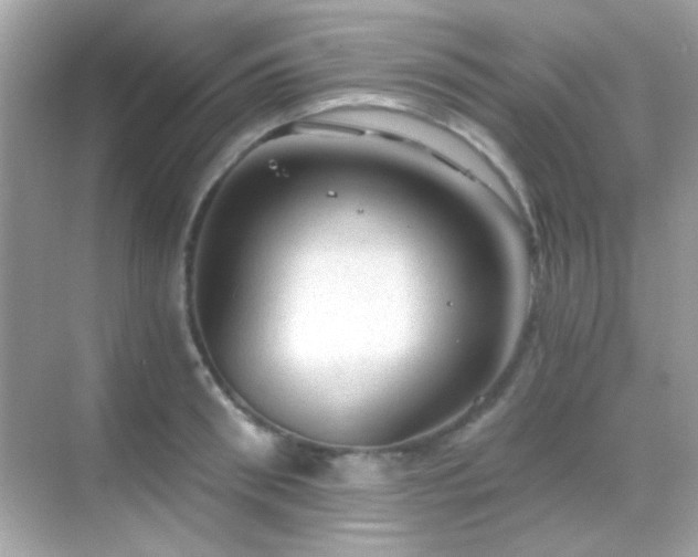 X0000068850898200605051209