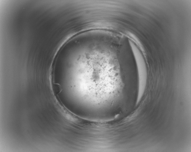 X0000068850899200605051209