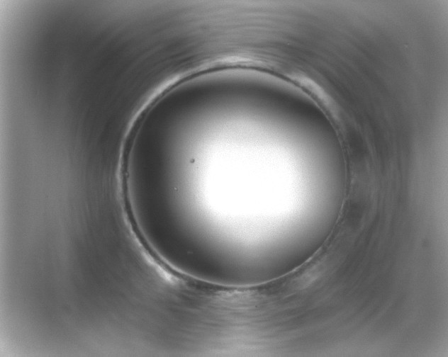 X0000068850902200605051209