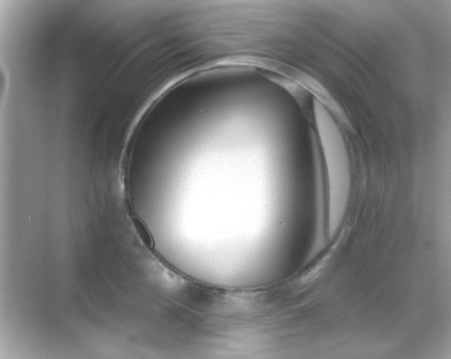 X0000068850908200605051209