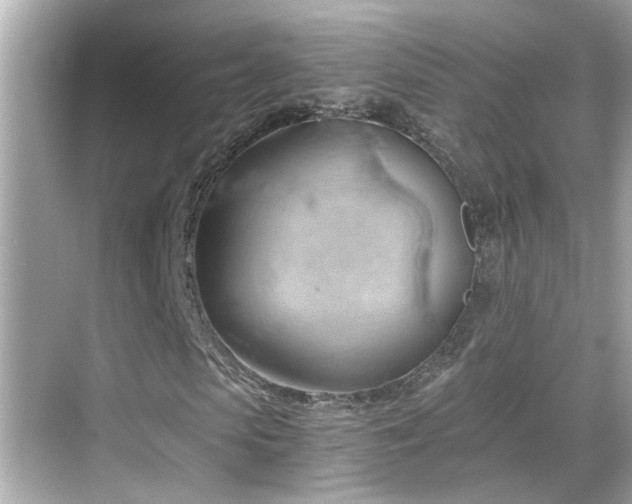 X0000068850913200605051208