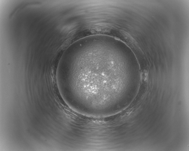 X0000068850915200605051208