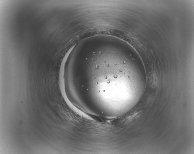 X0000068850916200605051208