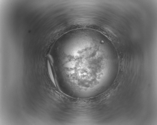 X0000068850917200605051208