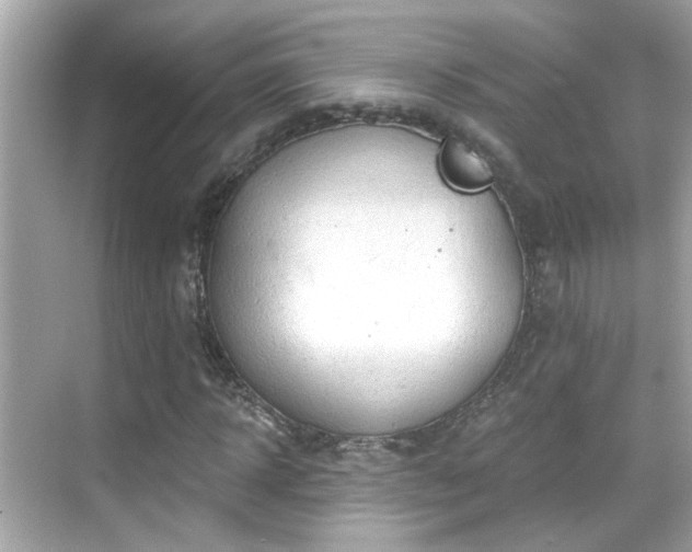 X0000068850918200605051208