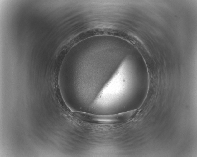 X0000068850919200605051208