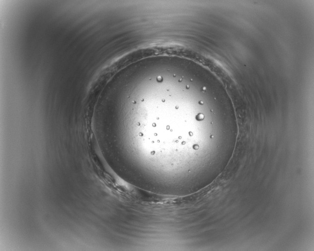 X0000068850920200605051208