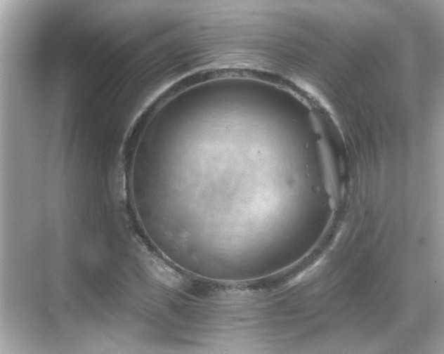 X0000068850925200605051209