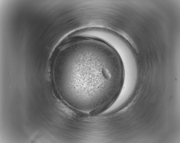 X0000068850926200605051209