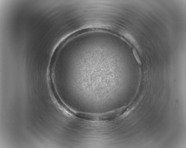 X0000068850928200605051209