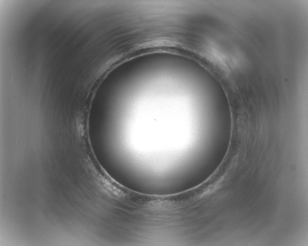 X0000068850929200605051209