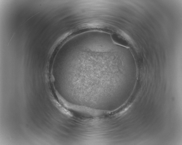 X0000068850930200605051209