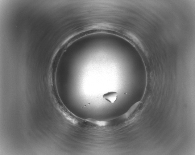 X0000068850931200605051209