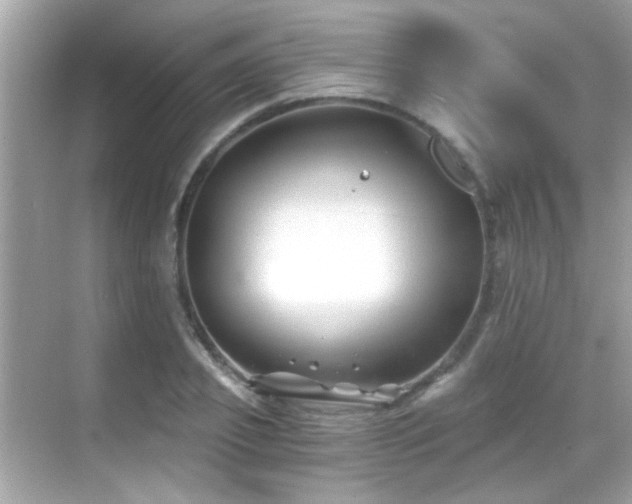 X0000068850933200605051209