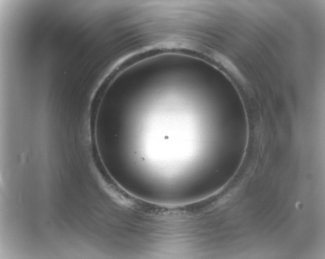 X0000068850934200605051209