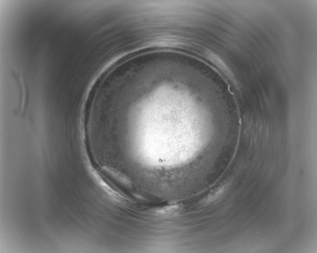 X0000068850939200605051209