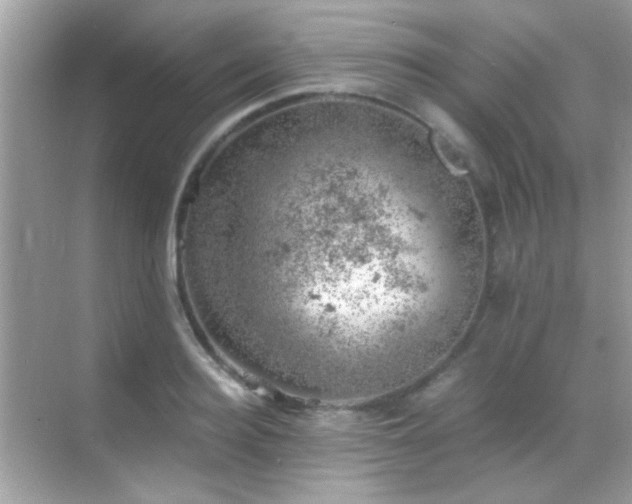 X0000068850940200605051209