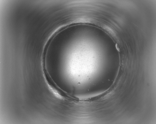 X0000068850942200605051209