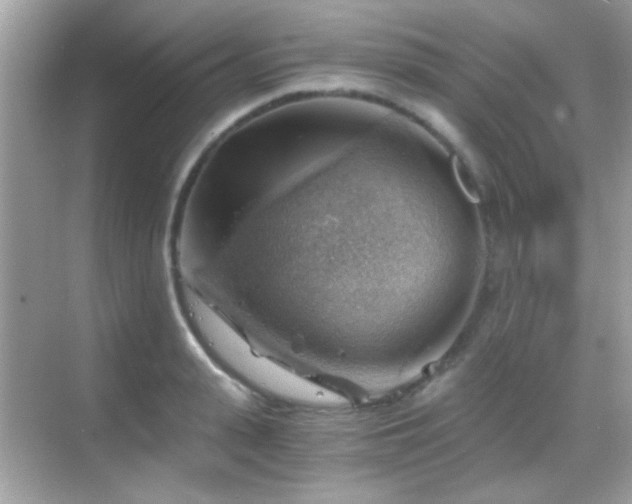 X0000068850943200605051209