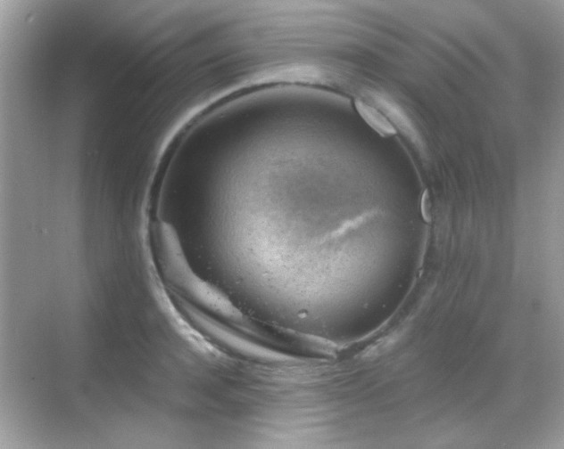 X0000068850944200605051209