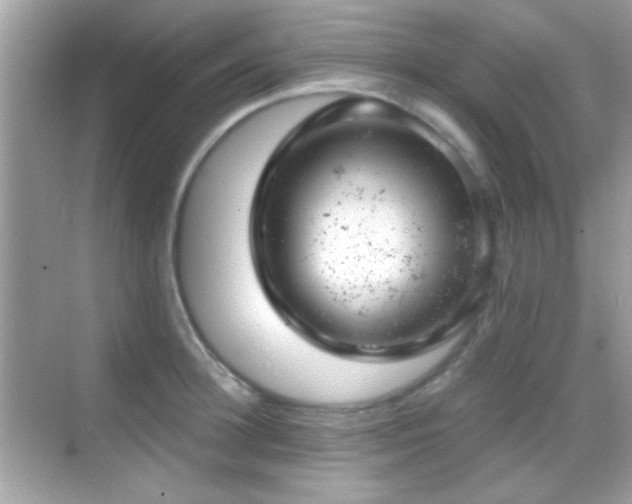 X0000068850948200605051209