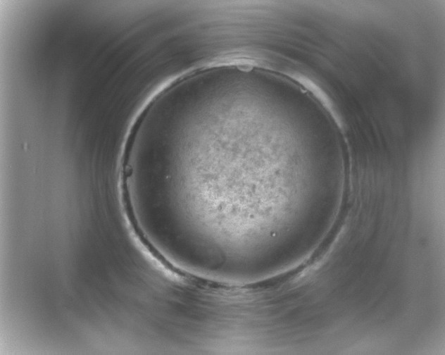 X0000068850949200605051209