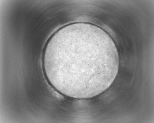 X0000068850950200605051209