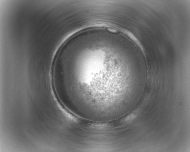 X0000068850951200605051209