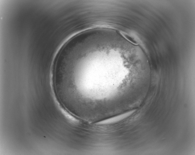 X0000068850955200605051209