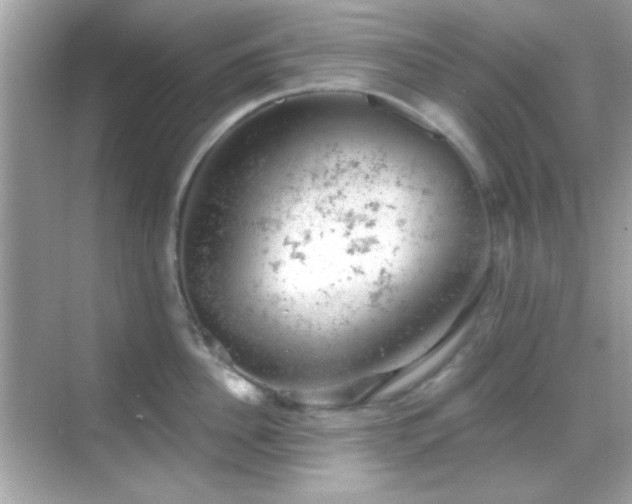 X0000068850956200605051209